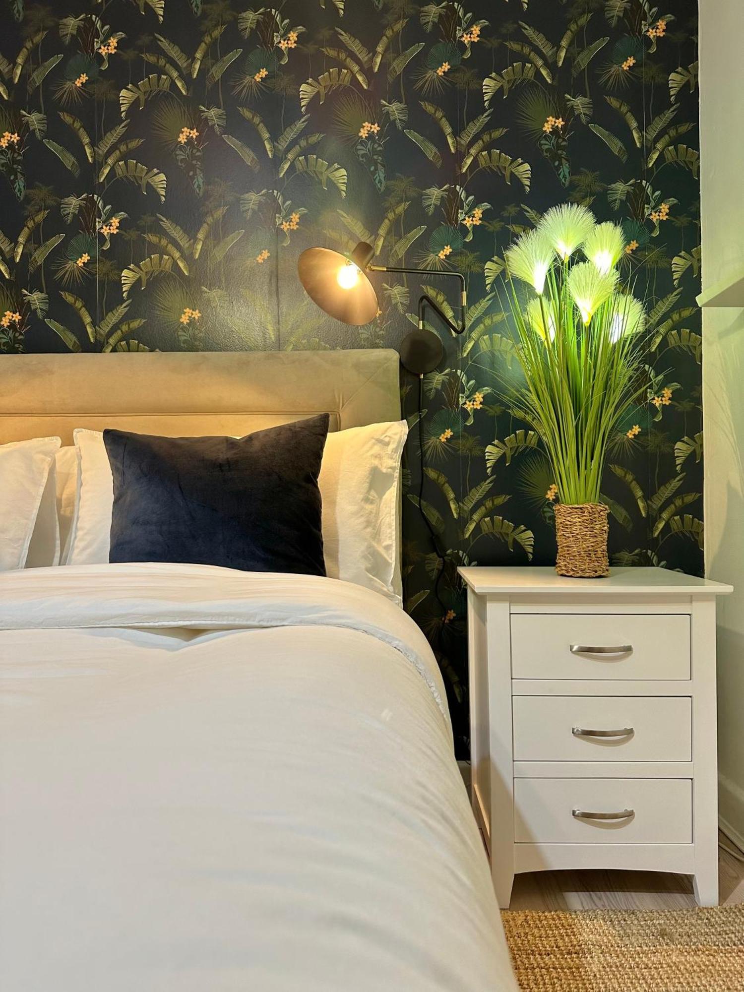 Blush Jungle - Homestay Dublin Buitenkant foto